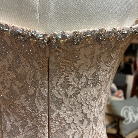 Elegant Lace Mermaid Gown - Picture 8 of 9